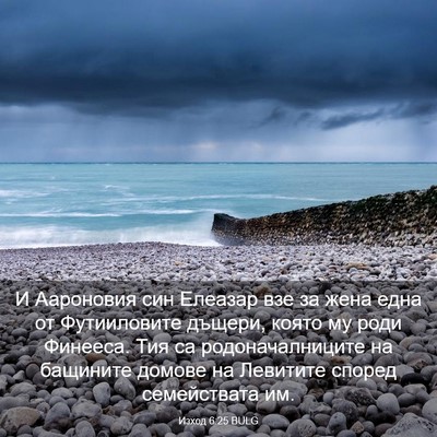 Picture 03 - Изход 6:25 BULG - И Аароновия син Елеазар - Bible Verse Picture