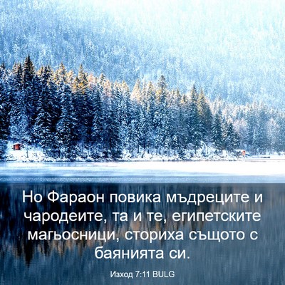 Picture 03 - Изход 7:11 BULG - Но Фараон повика мъдреците - Bible Verse Picture