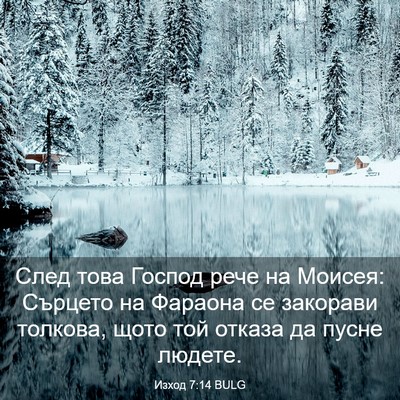 Picture 03 - Изход 7:14 BULG - След това Господ рече на - Bible Verse Picture