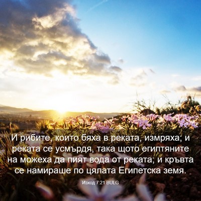 Picture 03 - Изход 7:21 BULG - И рибите, които бяха в - Bible Verse Picture