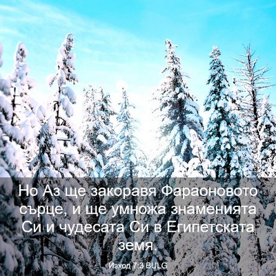 Picture 03 - Изход 7:3 BULG - Но Аз ще закоравя - Bible Verse Picture
