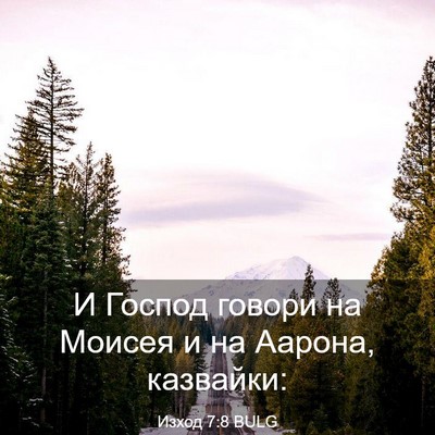 Picture 03 - Изход 7:8 BULG - И Господ говори на Моисея и - Bible Verse Picture
