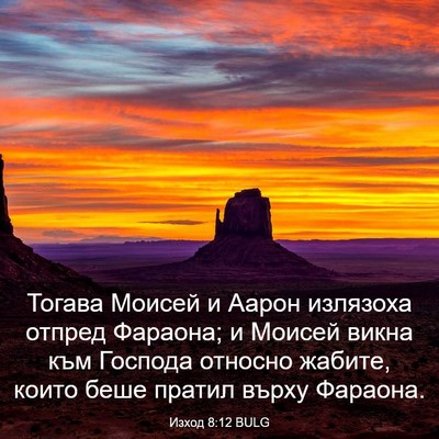 Picture 03 - Изход 8:12 BULG - Тогава Моисей и Аарон - Bible Verse Picture