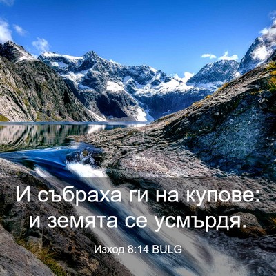 Picture 03 - Изход 8:14 BULG - И събраха ги на купове: и - Bible Verse Picture