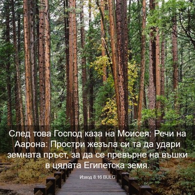 Picture 03 - Изход 8:16 BULG - След това Господ каза на - Bible Verse Picture