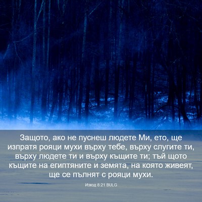 Picture 03 - Изход 8:21 BULG - Защото, ако не пуснеш - Bible Verse Picture