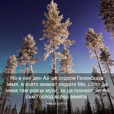 Picture 03 - Изход 8:22 BULG - Но в оня ден Аз ще отделя - Bible Verse Picture