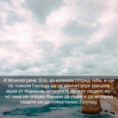 Picture 03 - Изход 8:29 BULG - И Моисей рече: Ето, аз - Bible Verse Picture