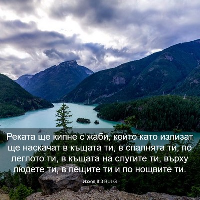Picture 03 - Изход 8:3 BULG - Реката ще кипне с жаби, - Bible Verse Picture