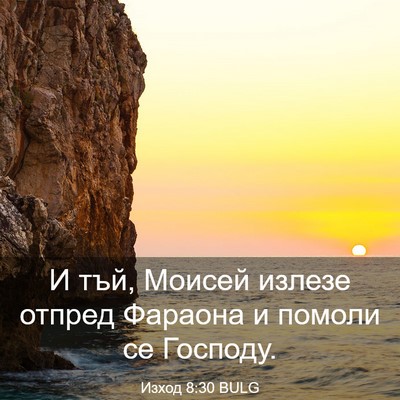 Picture 03 - Изход 8:30 BULG - И тъй, Моисей излезе отпред - Bible Verse Picture