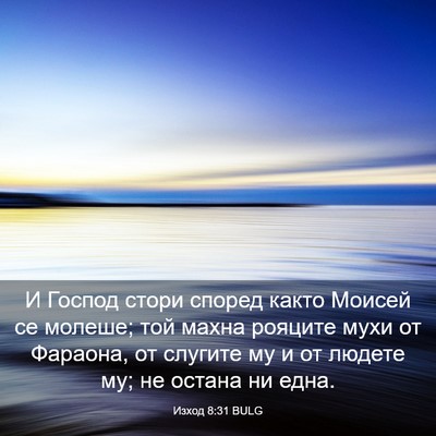 Picture 03 - Изход 8:31 BULG - И Господ стори според - Bible Verse Picture