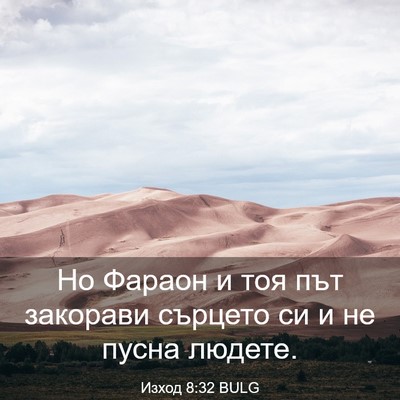 Picture 03 - Изход 8:32 BULG - Но Фараон и тоя път - Bible Verse Picture