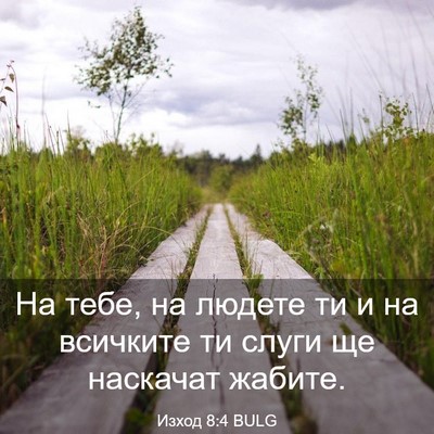 Picture 03 - Изход 8:4 BULG - На тебе, на людете ти и на - Bible Verse Picture