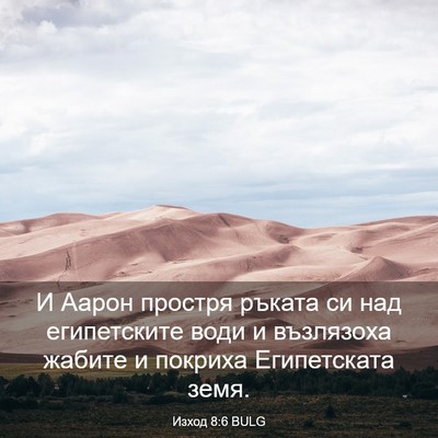 Picture 03 - Изход 8:6 BULG - И Аарон простря ръката си - Bible Verse Picture