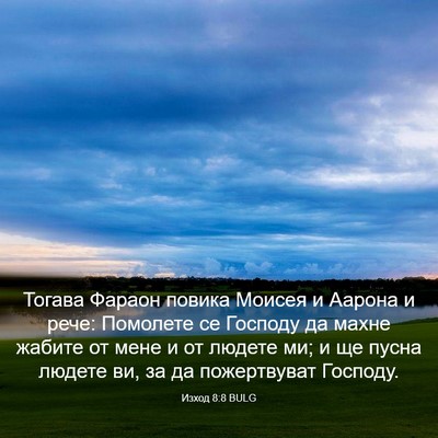 Picture 03 - Изход 8:8 BULG - Тогава Фараон повика - Bible Verse Picture