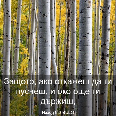 Picture 03 - Изход 9:2 BULG - Защото, ако откажеш да ги - Bible Verse Picture