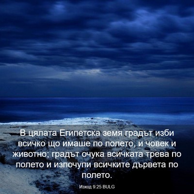 Picture 03 - Изход 9:25 BULG - В цялата Египетска земя - Bible Verse Picture