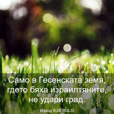 Picture 03 - Изход 9:26 BULG - Само в Гесенската земя, - Bible Verse Picture