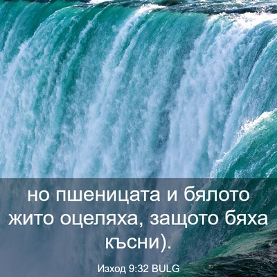 Picture 03 - Изход 9:32 BULG - но пшеницата и бялото жито - Bible Verse Picture
