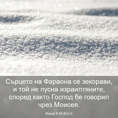 Picture 03 - Изход 9:35 BULG - Сърцето на Фараона се - Bible Verse Picture