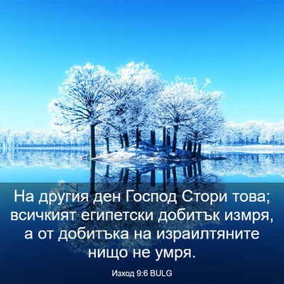 Picture 03 - Изход 9:6 BULG - На другия ден Господ Стори - Bible Verse Picture