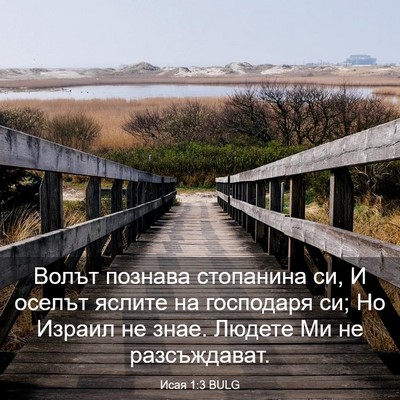Picture 03 - Исая 1:3 BULG - Волът познава стопанина - Bible Verse Picture