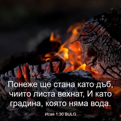 Picture 03 - Исая 1:30 BULG - Понеже ще стана като дъб, - Bible Verse Picture