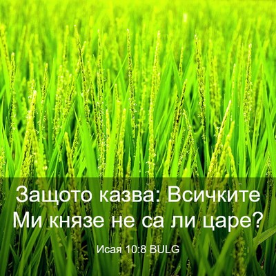 Picture 03 - Исая 10:8 BULG - Защото казва: Всичките Ми - Bible Verse Picture