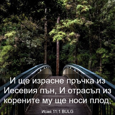 Picture 03 - Исая 11:1 BULG - И ще израсне пръчка из - Bible Verse Picture