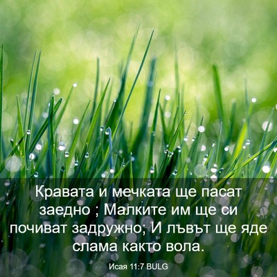 Picture 03 - Исая 11:7 BULG - Кравата и мечката ще пасат - Bible Verse Picture