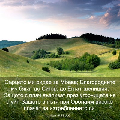 Picture 03 - Исая 15:5 BULG - Сърцето ми ридае за Моава; - Bible Verse Picture