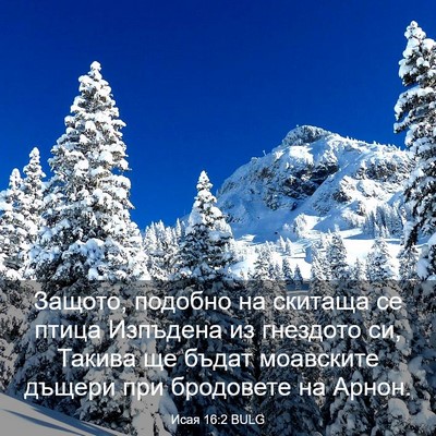 Picture 03 - Исая 16:2 BULG - Защото, подобно на скитаща - Bible Verse Picture