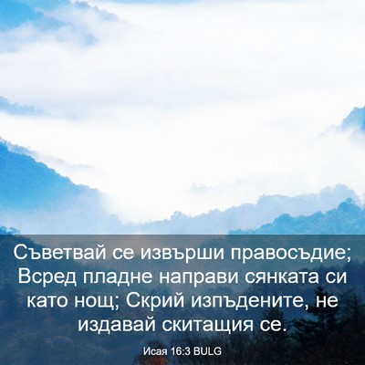 Picture 03 - Исая 16:3 BULG - Съветвай се извърши - Bible Verse Picture