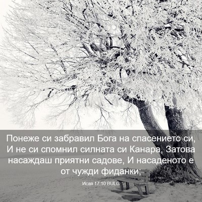 Picture 03 - Исая 17:10 BULG - Понеже си забравил Бога на - Bible Verse Picture