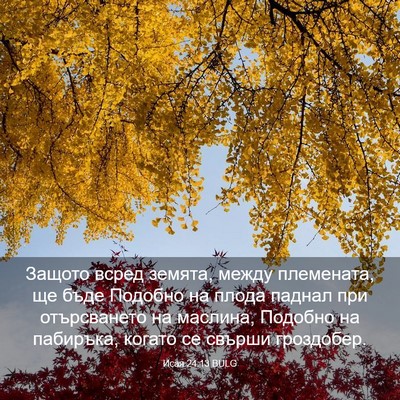 Picture 03 - Исая 24:13 BULG - Защото всред земята, между - Bible Verse Picture