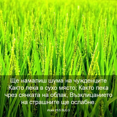 Picture 03 - Исая 25:5 BULG - Ще намалиш шума на - Bible Verse Picture