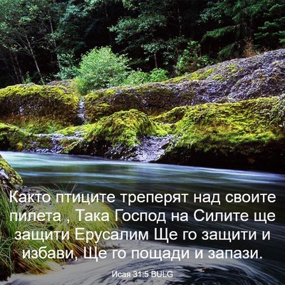 Picture 03 - Исая 31:5 BULG - Както птиците треперят над - Bible Verse Picture