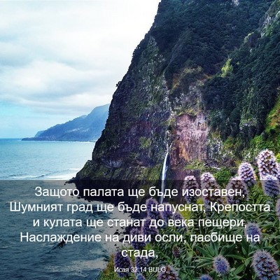 Picture 03 - Исая 32:14 BULG - Защото палата ще бъде - Bible Verse Picture