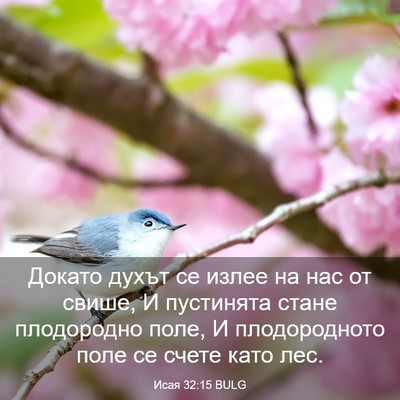 Picture 03 - Исая 32:15 BULG - Докато духът се излее на - Bible Verse Picture
