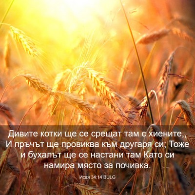 Picture 03 - Исая 34:14 BULG - Дивите котки ще се срещат - Bible Verse Picture