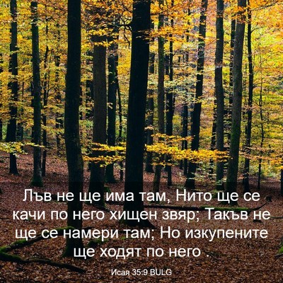 Picture 03 - Исая 35:9 BULG - Лъв не ще има там, Нито ще - Bible Verse Picture