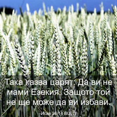 Picture 03 - Исая 36:14 BULG - Така казва царят: Да ви не - Bible Verse Picture
