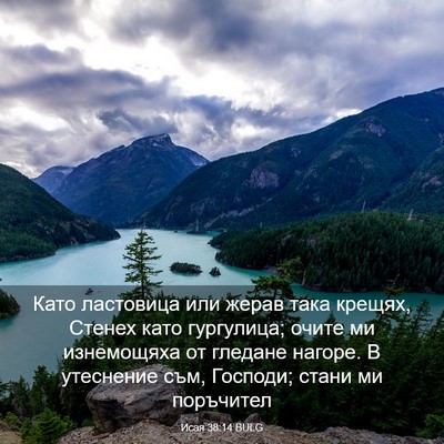Picture 03 - Исая 38:14 BULG - Като ластовица или жерав - Bible Verse Picture