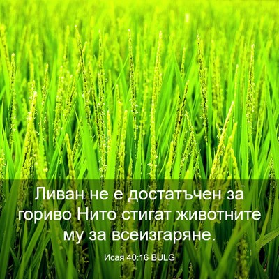 Picture 03 - Исая 40:16 BULG - Ливан не е достатъчен за - Bible Verse Picture