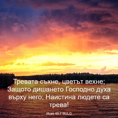 Picture 03 - Исая 40:7 BULG - Тревата съхне, цветът - Bible Verse Picture