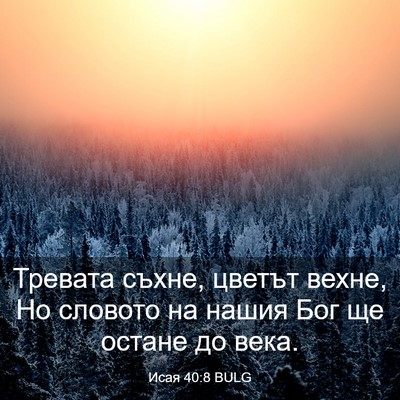 Picture 03 - Исая 40:8 BULG - Тревата съхне, цветът - Bible Verse Picture