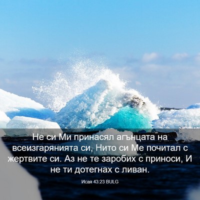 Picture 03 - Исая 43:23 BULG - Не си Ми принасял агънцата - Bible Verse Picture