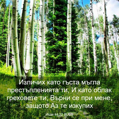 Picture 03 - Исая 44:22 BULG - Изличих като гъста мъгла - Bible Verse Picture