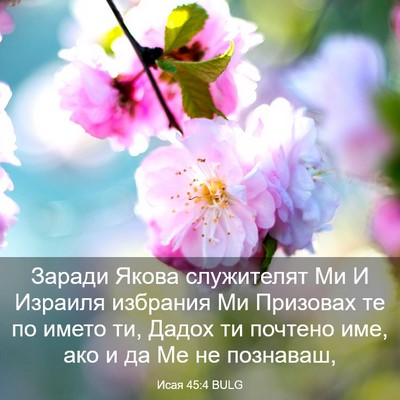 Picture 03 - Исая 45:4 BULG - Заради Якова служителят Ми - Bible Verse Picture