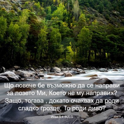 Picture 03 - Исая 5:4 BULG - Що повече бе възможно да се - Bible Verse Picture